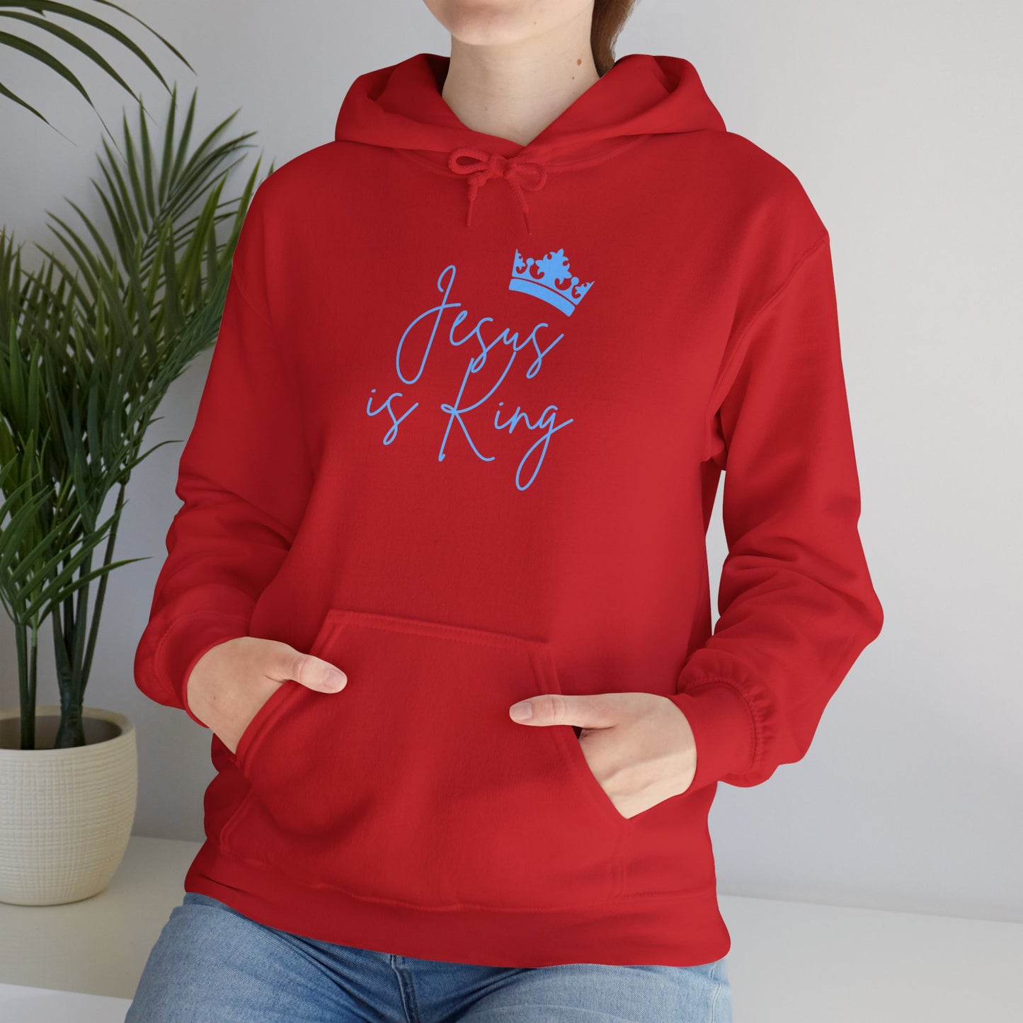 The Jesus is King Unisex Hoodie - Inspirational Apparel