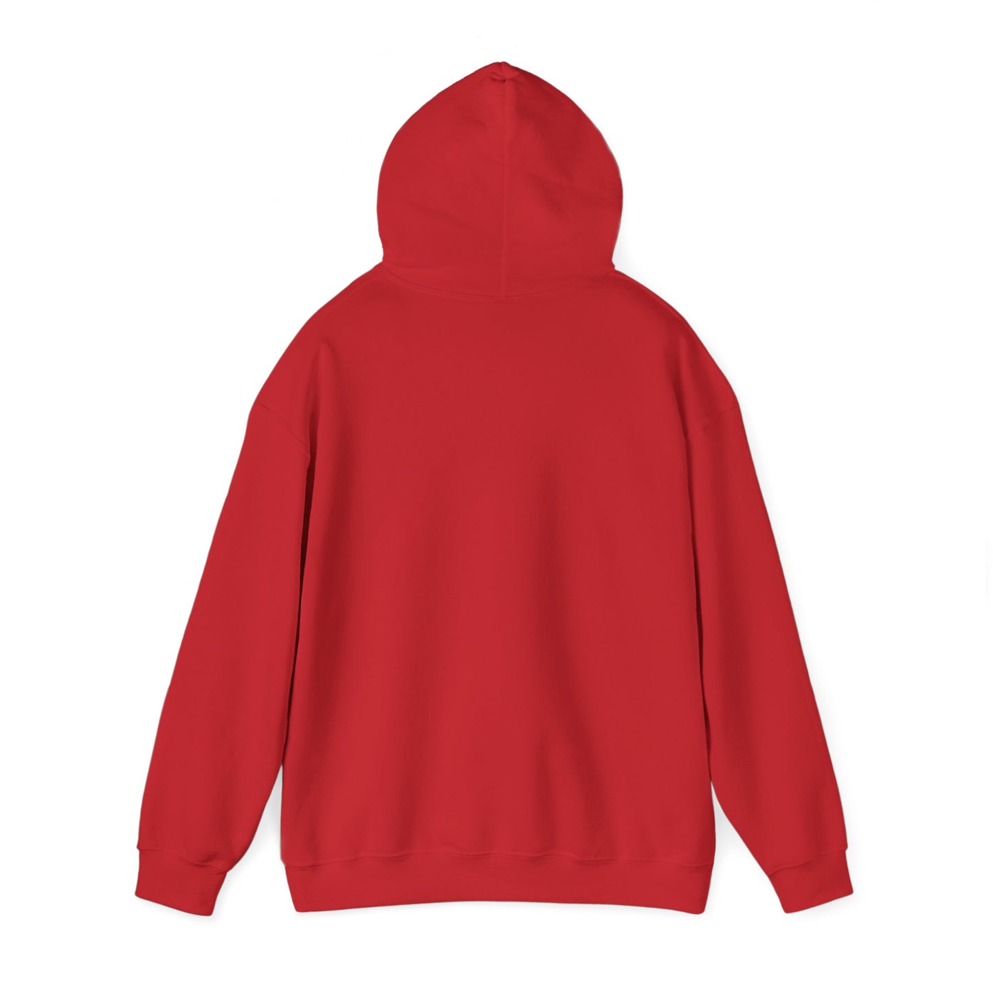 The Jesus is King Unisex Hoodie - Inspirational Apparel
