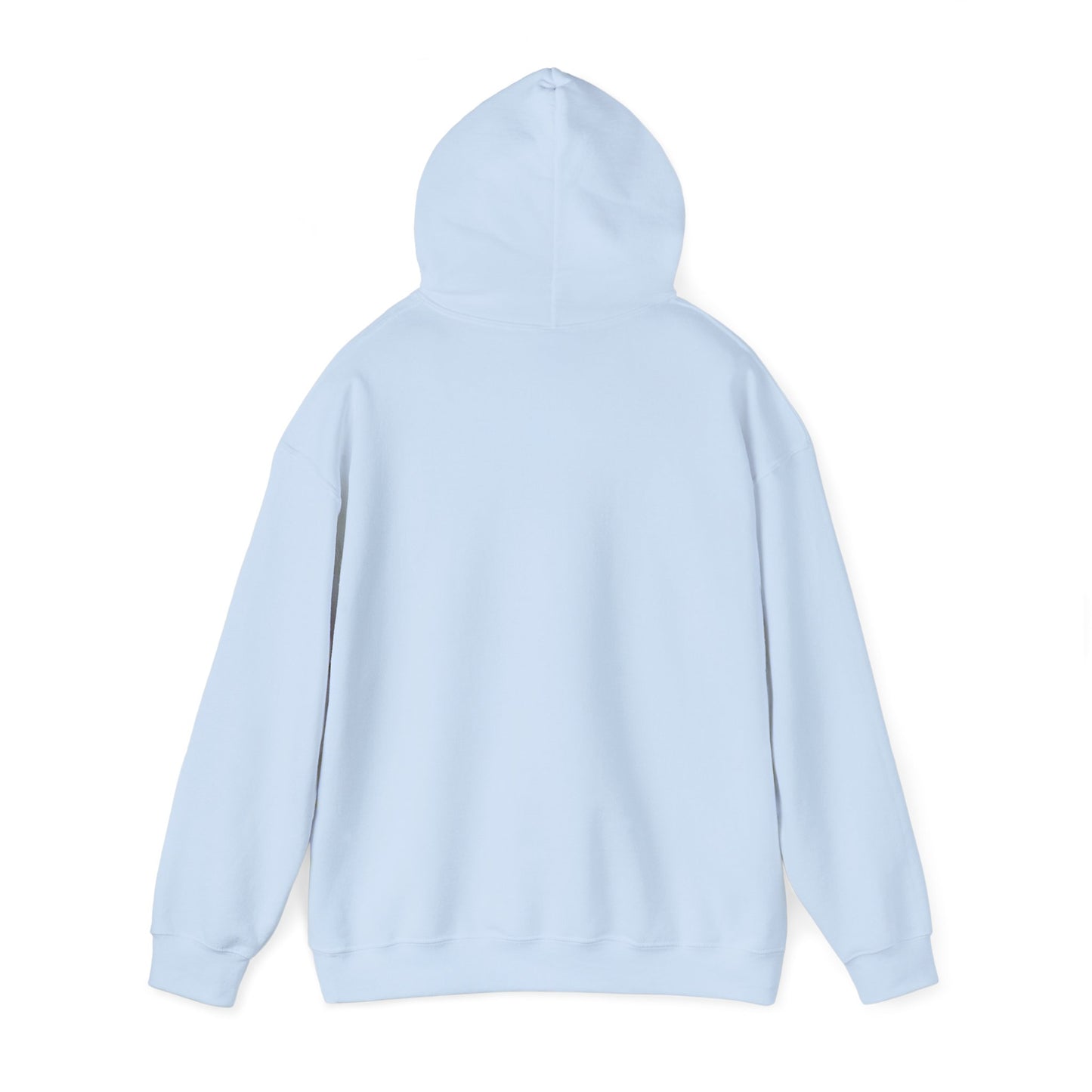 The Jesus is King Unisex Hoodie - Inspirational Apparel