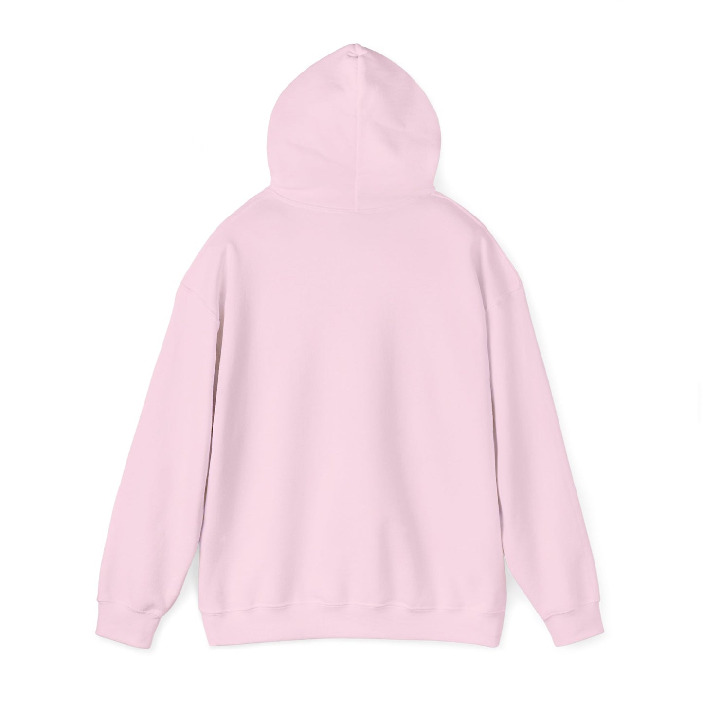 The Jesus is King Unisex Hoodie - Inspirational Apparel